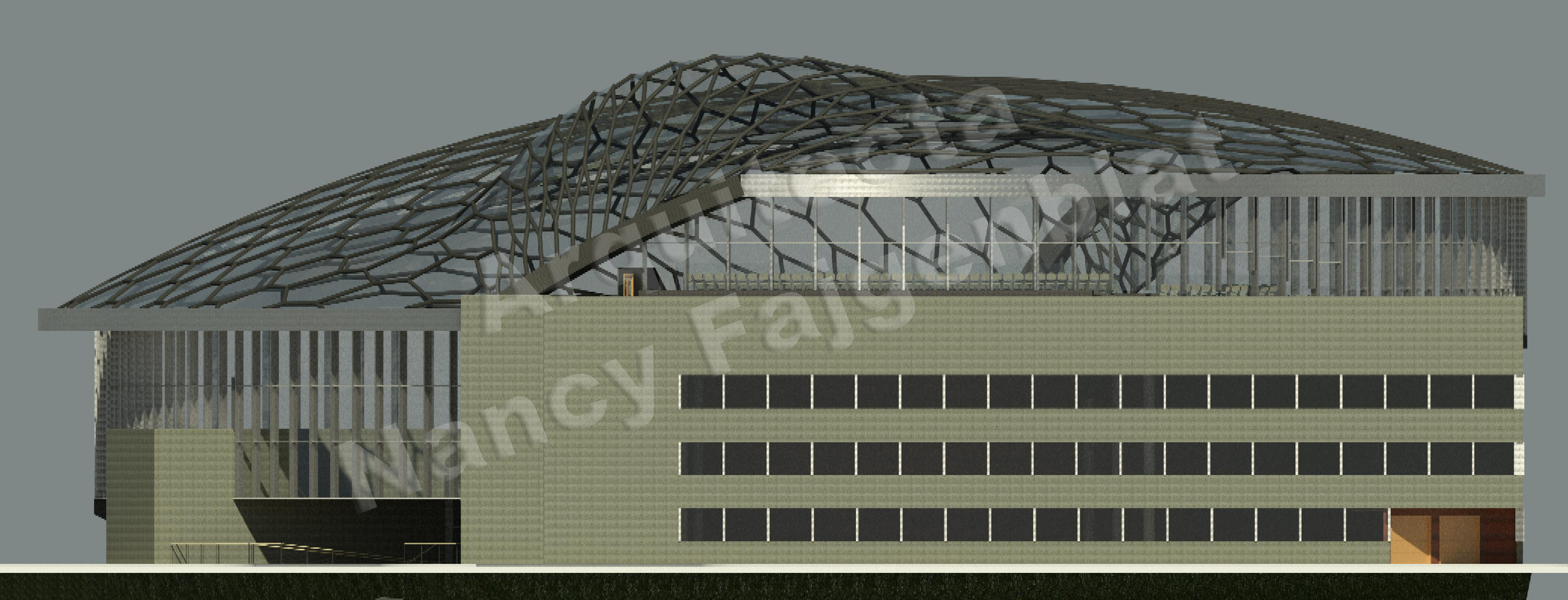 Proyecto de un estadio en Buenos Aires, Argentina